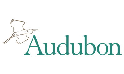 AUDUBON BIRD CALL