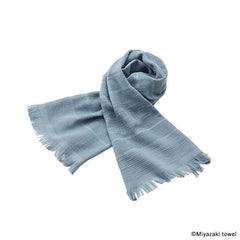 No2ブルーグレー