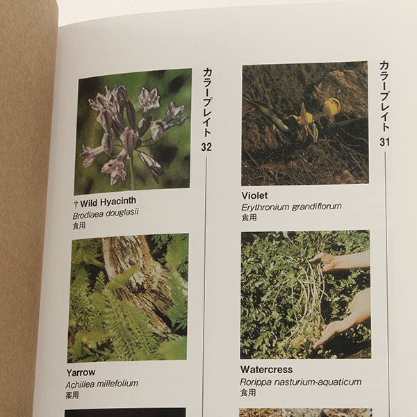 アウトドアサバイバル技法