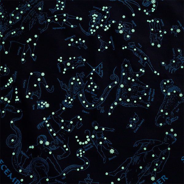 プリンティッドイメージ ネイチャープリントバンダナ 星座