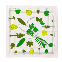 ツリーズオブノースアメリカ