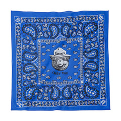 SMOKEY PAISLEY ROYAL