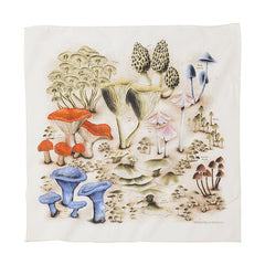 マッシュルーム