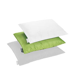 ワサビ(Mサイズ)