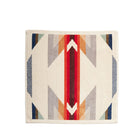 ワイストレイル