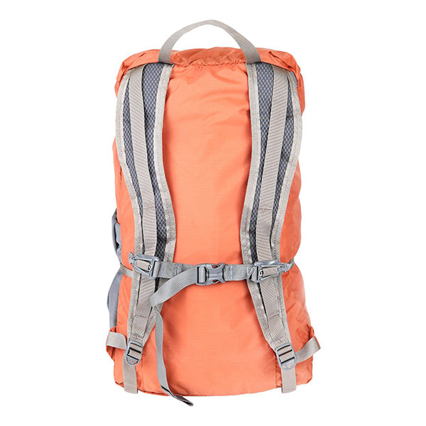 ミステリーランチ インアンドアウト 22