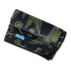 フィドルヘッド