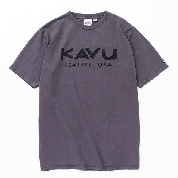 カブー メンズ USAロゴTシャツ