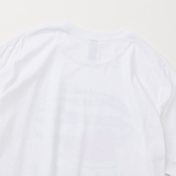カブー メンズ ウォーターメロン Tシャツ