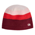 リンゴンベリー