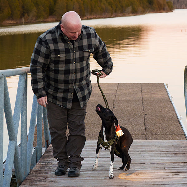 ベアボーンズ フードゥーランタン