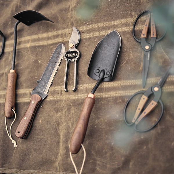 ベアボーンズ スペード ウォールナット