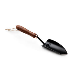 ウォールナット