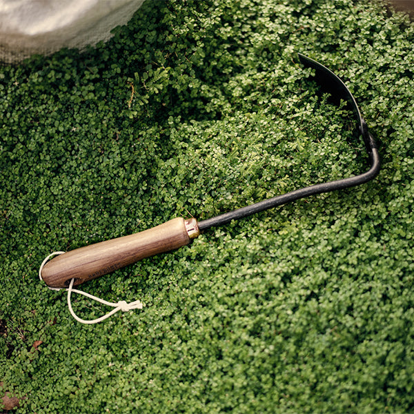 ベアボーンズ スクエアホー ウォールナット