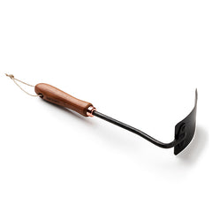 ウォールナット