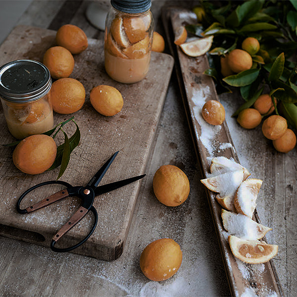 ベアボーンズ ガーデンシザースL ウォールナット