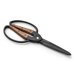 ウォールナット