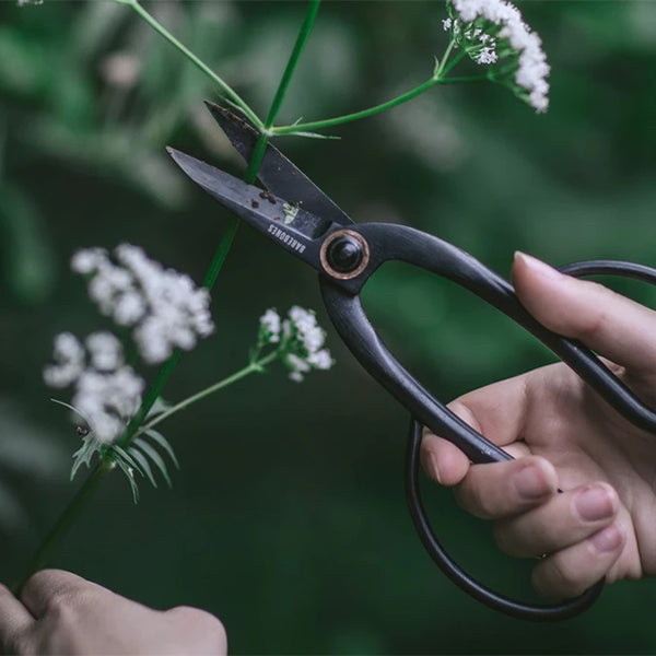 ベアボーンズ アーティシャンプルーニング シアー Lサイズ
