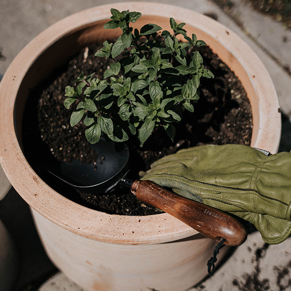 ベアボーンズ ガーデンスクープ