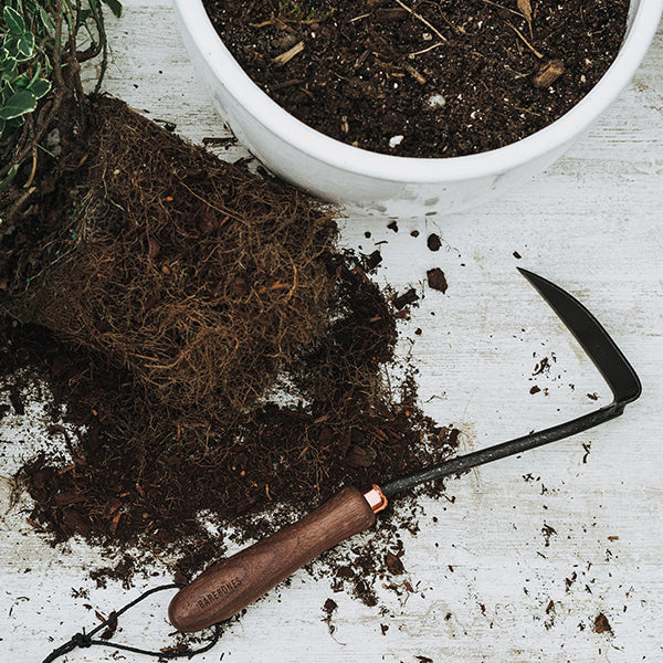 ベアボーンズ ジャパニーズ ウェーディングホー