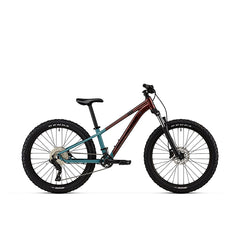 BLUE / RED / 12
