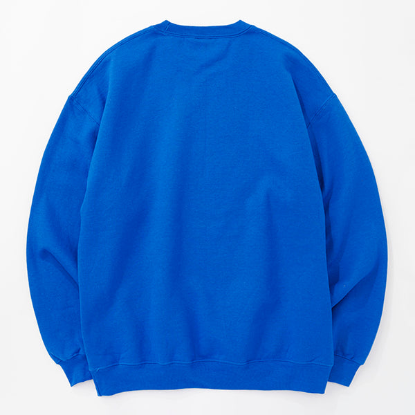 カブー メンズ 22ドッグスウェット