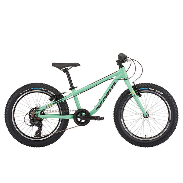 Gloss Everglade / 11"