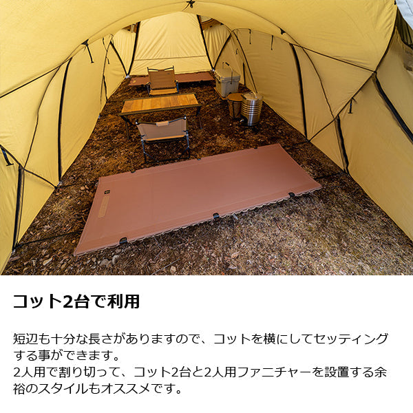 ゼインアーツ ロガ